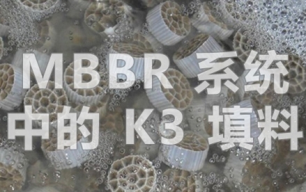 K3填料如何以生物膜技术重塑MBBR系统效能 —— 解密高效废水处理的核心突破